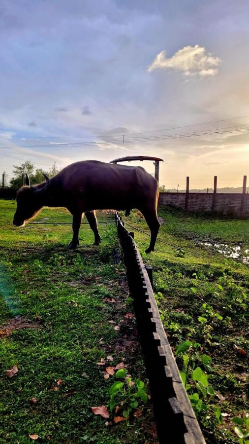 Pousada Marajoara- Hotel Fazenda-Turismo De Aventura Soure Exteriér fotografie