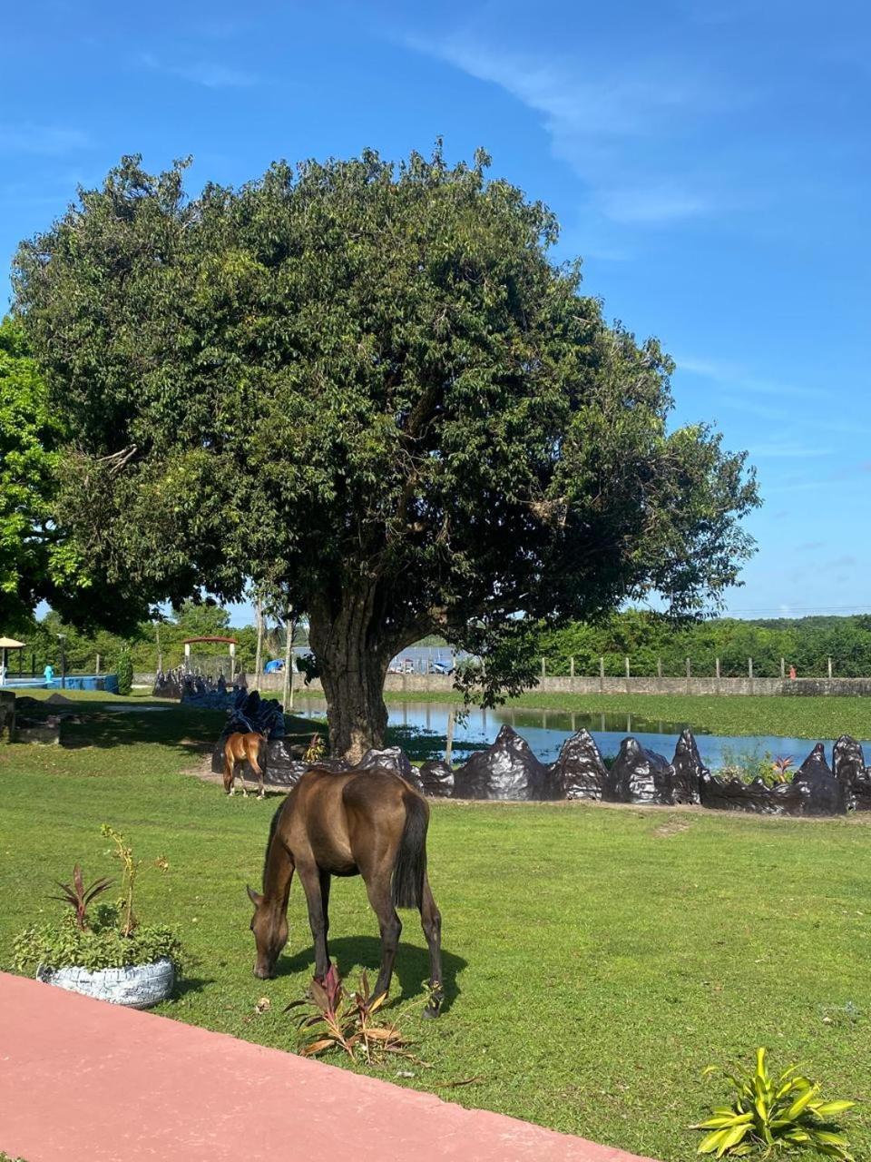 Pousada Marajoara- Hotel Fazenda-Turismo De Aventura Soure Exteriér fotografie