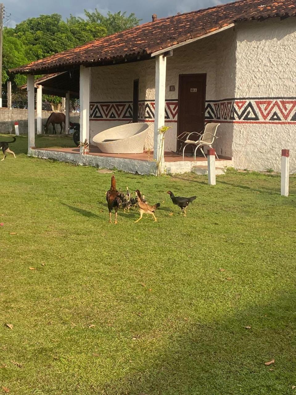 Pousada Marajoara- Hotel Fazenda-Turismo De Aventura Soure Exteriér fotografie